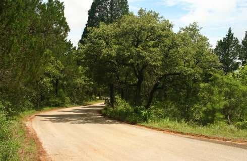A dirt road winding through trees with blue skies above