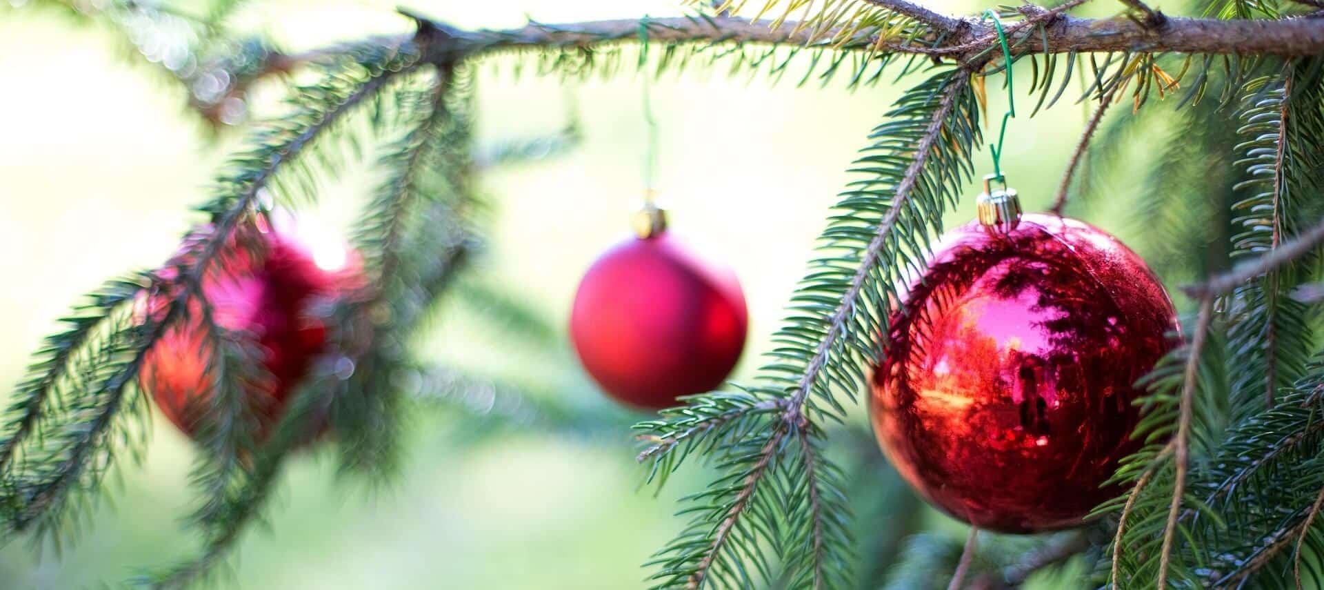 The image shows red Christmas ornaments hanging on a pine tree branch.
